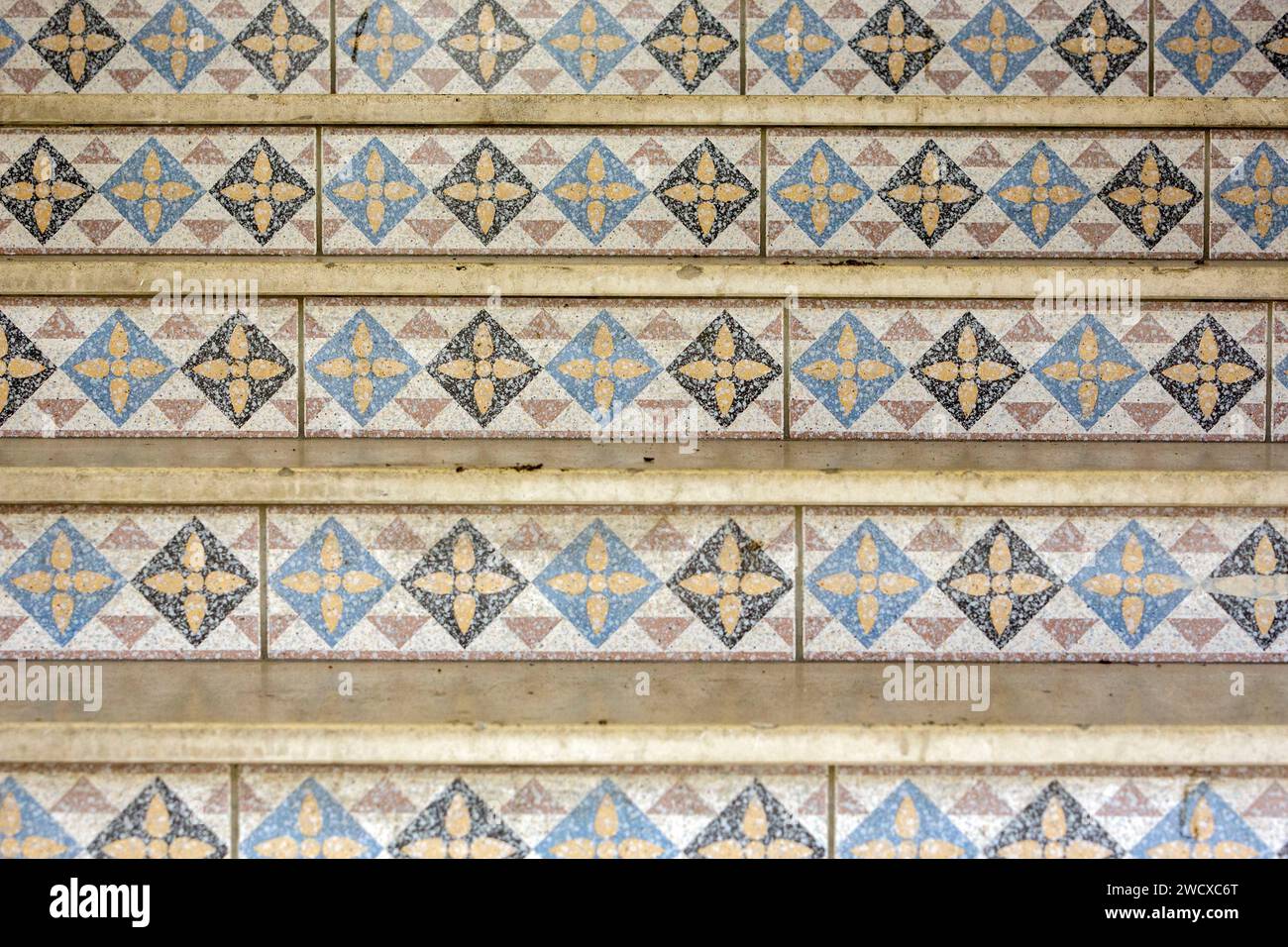 France, Meurthe et Moselle, Nancy, detail of the mosaic of the steps of a stairway in an apartment building located Rue Victor Lemoine Stock Photo
