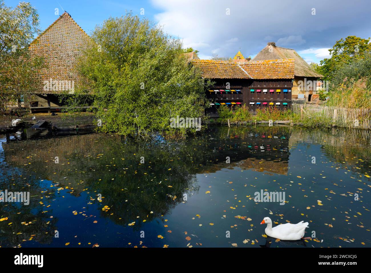 France, Haut Rhin, Ungersheim, Ecomusee d Alsace, pond, goose, apiary, farms Stock Photo