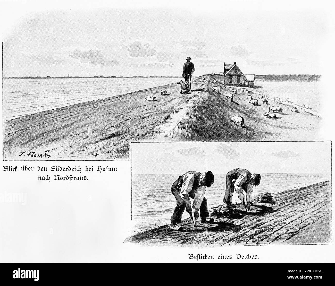 How to repair a dyke, North Friisia, North Sea, Schleswig-Holstein, Northern Germany, Central Europe Stock Photo