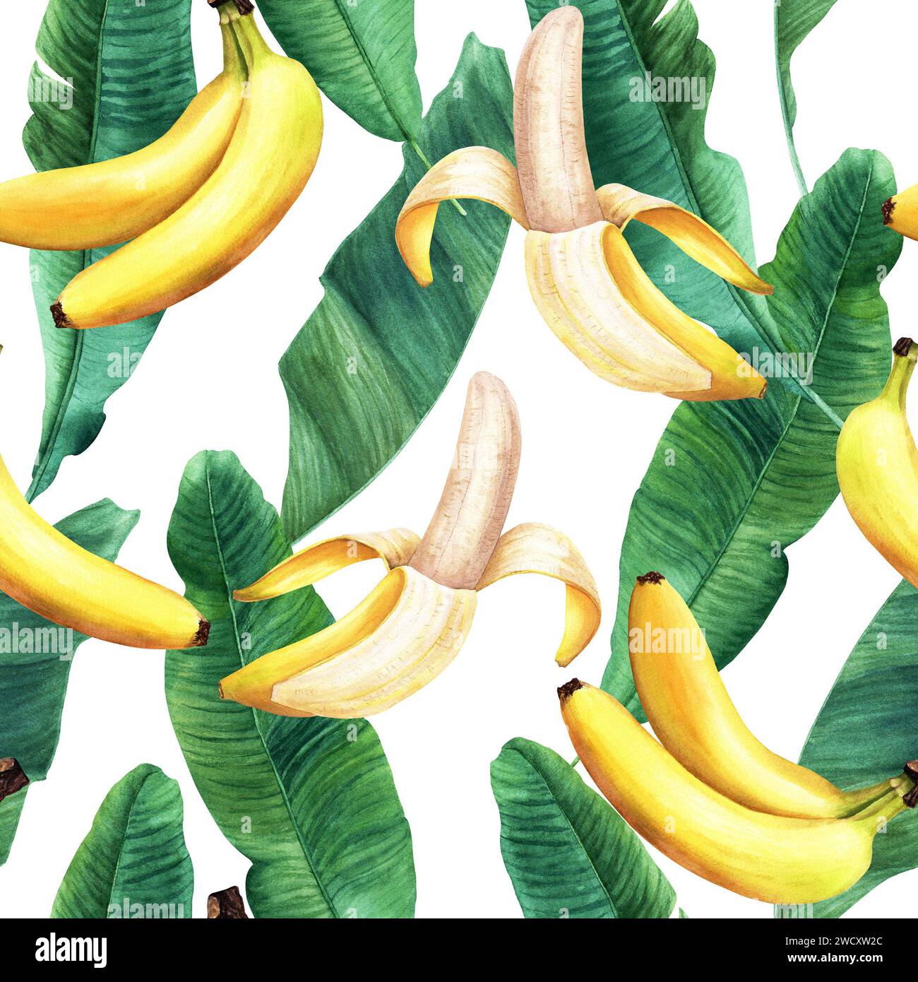 Cross section of a banana tree hi-res stock photography and images - Alamy