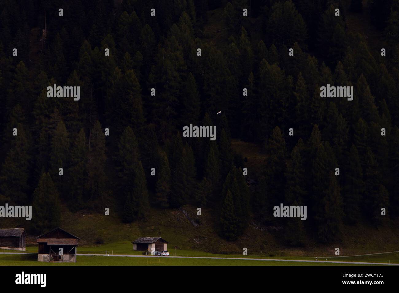 Secluded Retreat: Rustic Cabins at the Edge of a Forest, Quietude of Nature. Stock Photo
