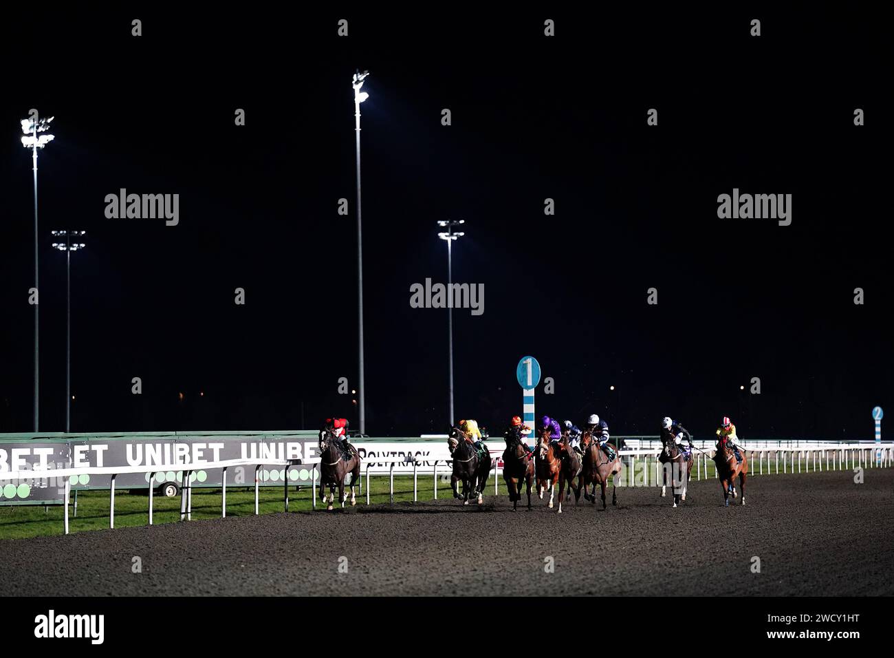 Runners and riders during the Join Racing TV Now Handicap at Kempton