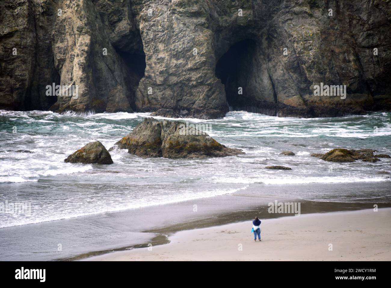 Visitor photographs Elephant Rock, in Bandon, Oregon.  Compared to the size of the towering rock formation visitor is tiny. Stock Photo