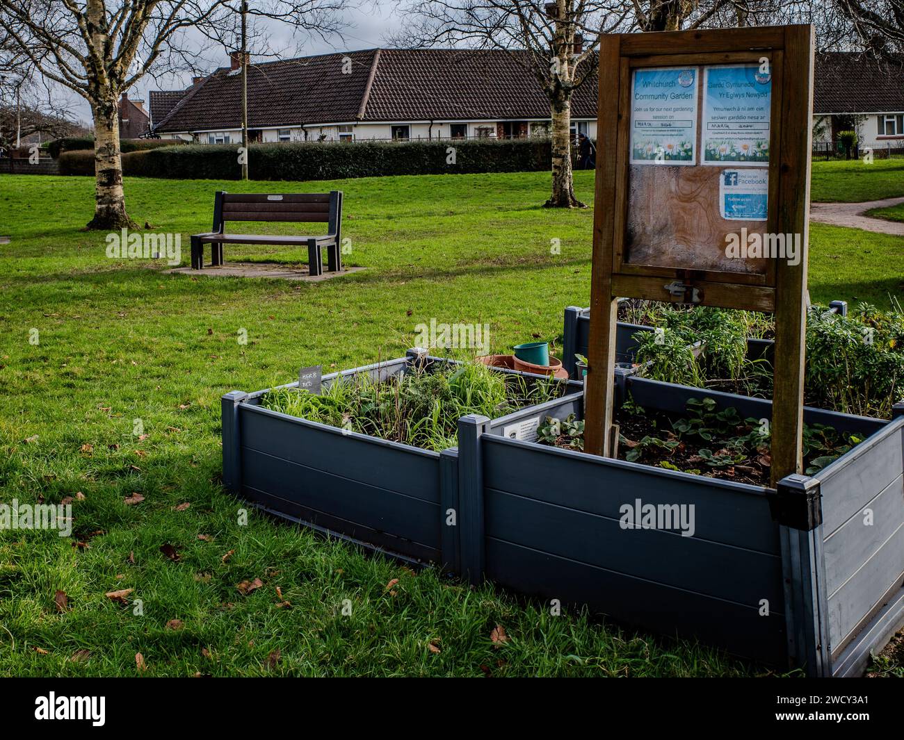 Community public garden. Raised garden beds with plants in vegetable community garden. Lessons for children. Concept Community, Public Space, Elderly. Stock Photo