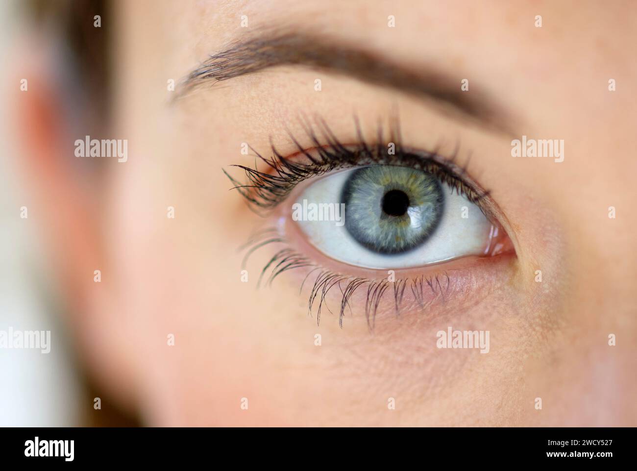 Womans eye close up Stock Photo