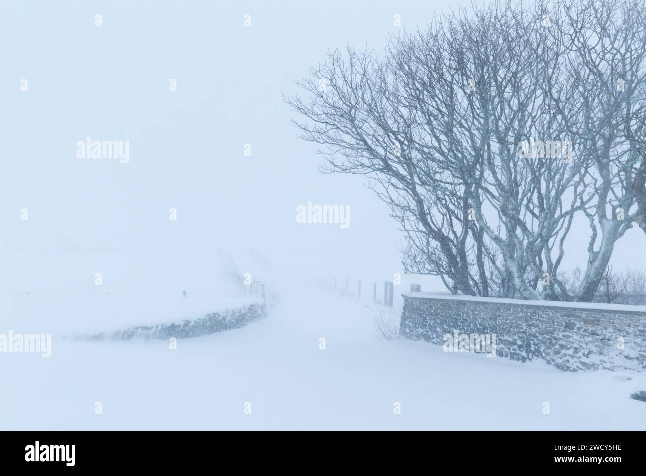 Weather january 2025 hires stock photography and images Alamy