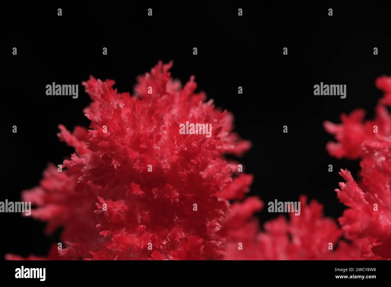 Macro image red salt crystal on black background Stock Photo