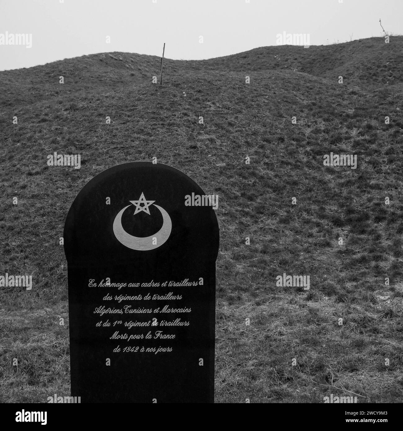 Tunisian fiflemen hi-res stock photography and images - Alamy
