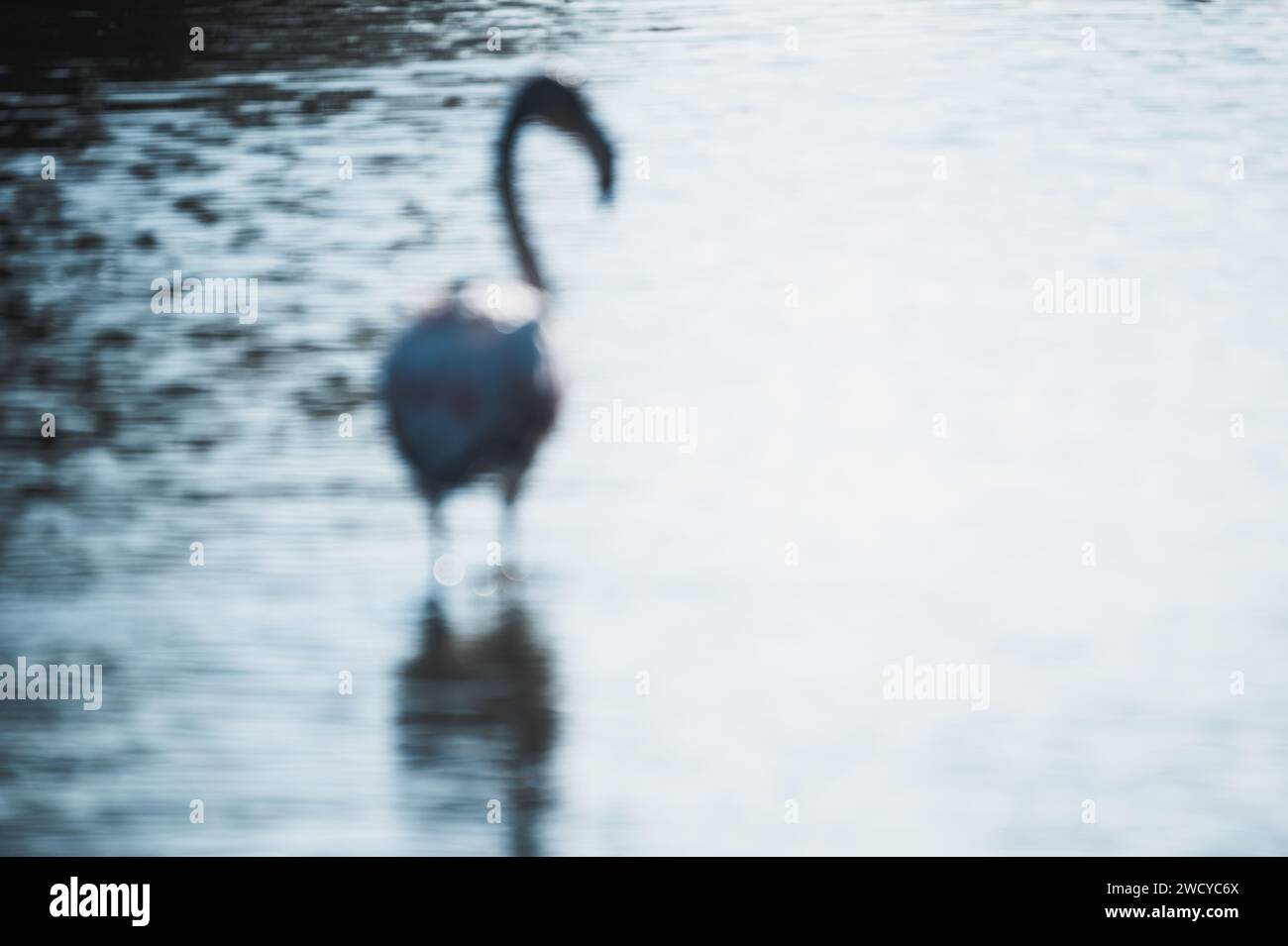 Camargue flamingo artwork Stock Photo