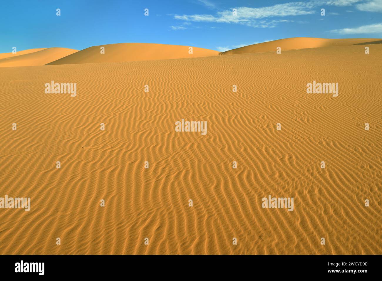 Sahara Desert With Sand Dunes, Sand Patterns Around Djanet Oasis In 