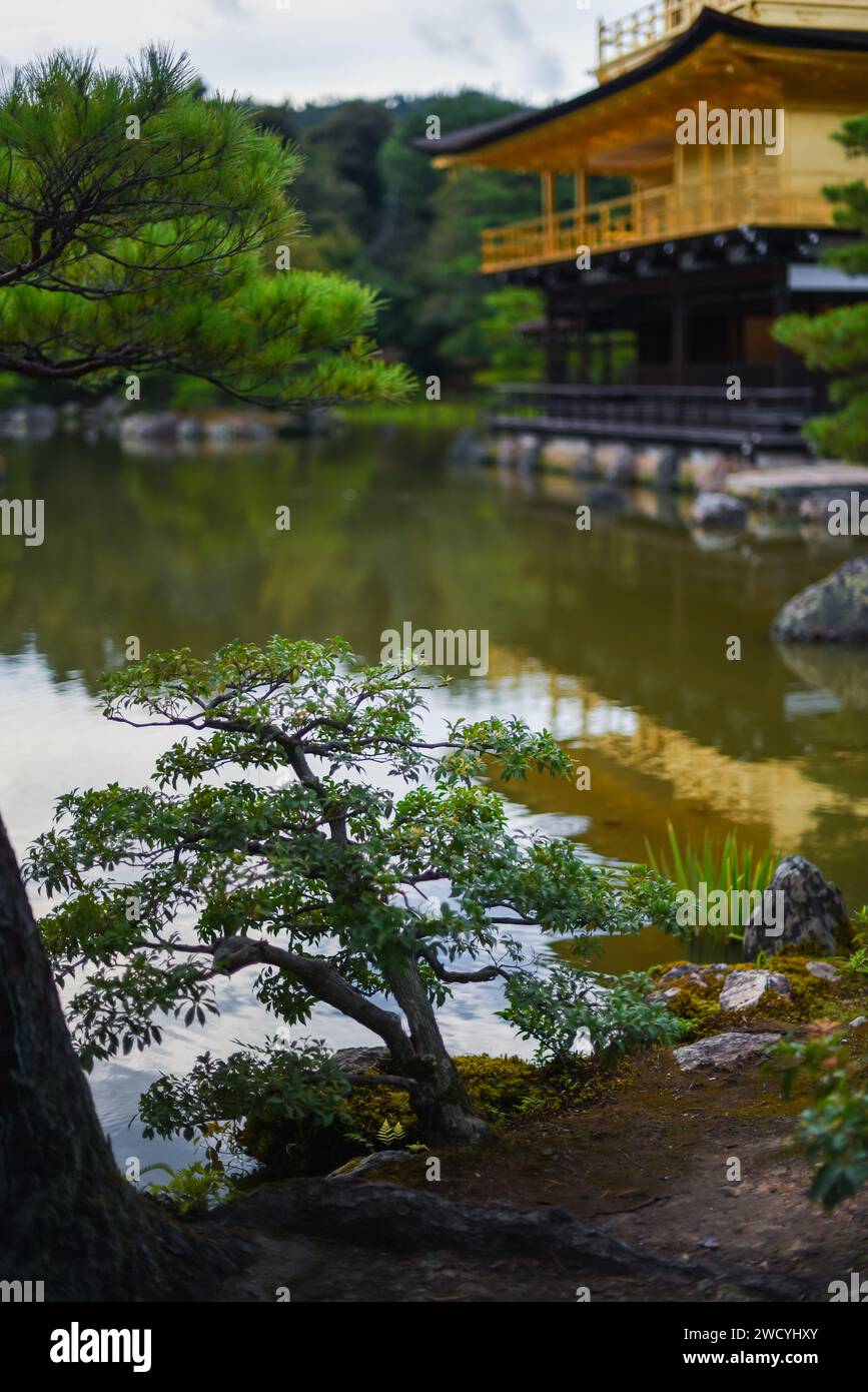 Kinkaku-ji, officially named Rokuon-ji, is a Zen Buddhist temple in Kyoto, Japan Stock Photo