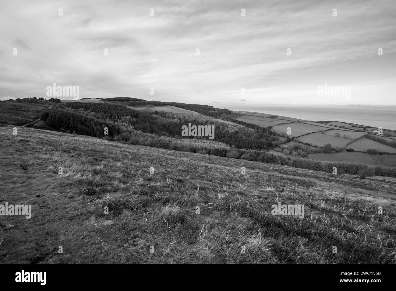 View of Porlock Common at the top of Porlock Hill in Exmoor Natioanl Park Stock Photo