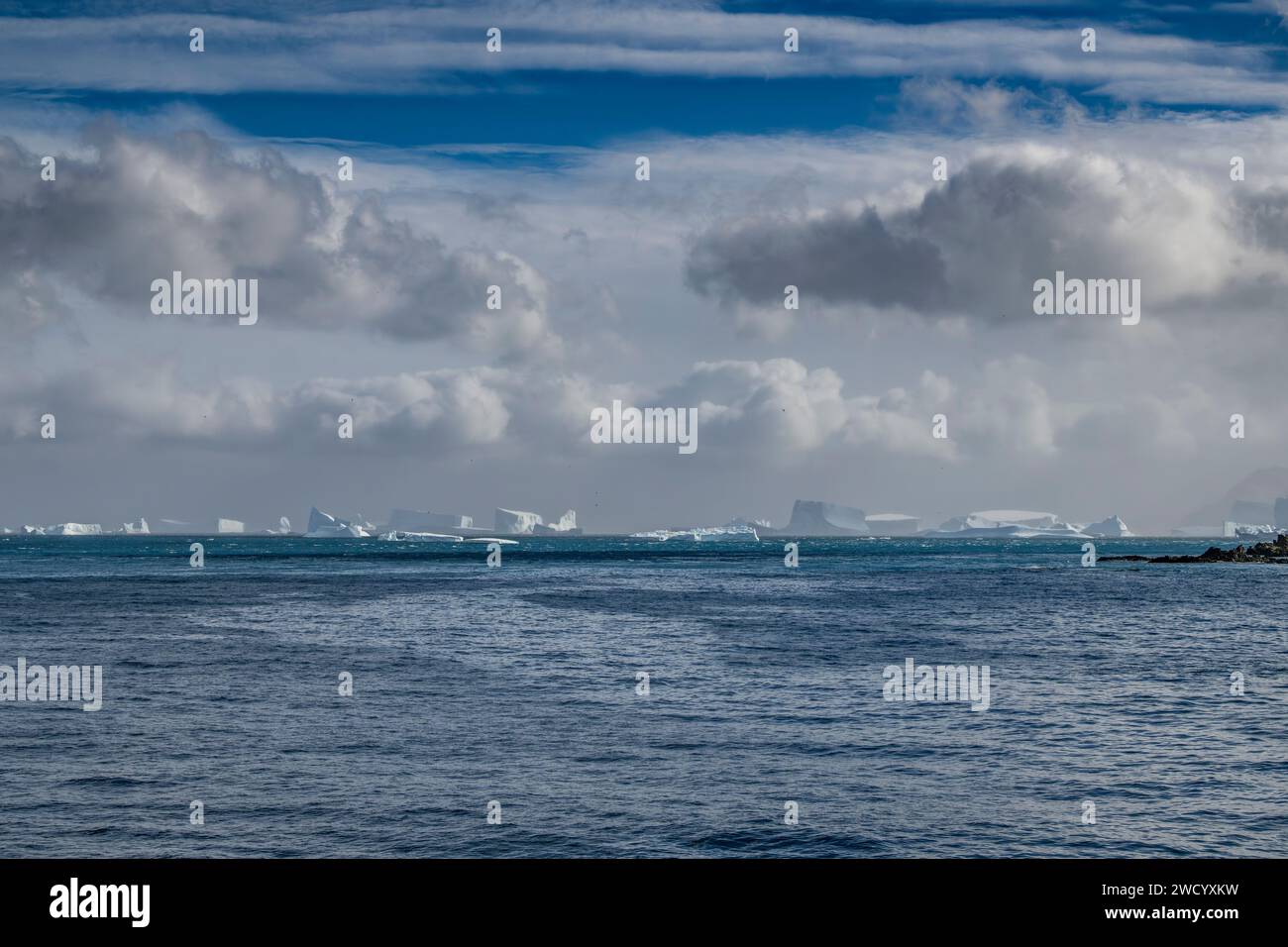 Icebergs in Cooper Bay and Drygalski Fjord, South Georgia Island, numerous due to break-up of  Antarctic ice shelf, sculpted by waves on the journey Stock Photo