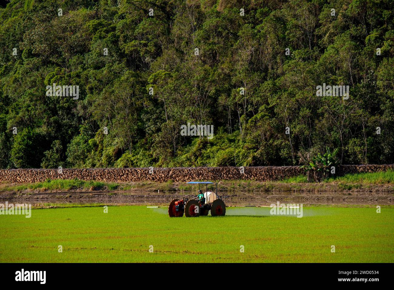Agricultural farm, Santa Catarina Estate, Brazil Stock Photo