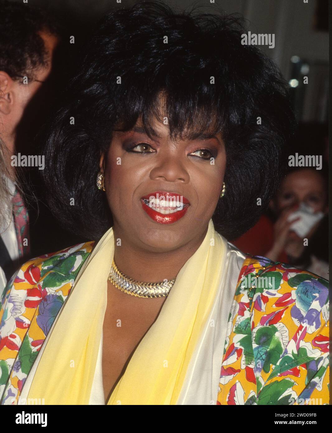 1988 Oprah Winfrey John Barrett PHOTOlink Stock Photo Alamy 1988-oprah-winfrey-john-barrett-photolink-stock-photo-alamy