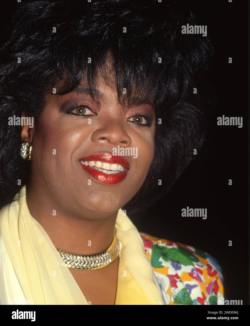 1988 Oprah Winfrey John Barrett PHOTOlink Stock Photo Alamy 1988-oprah-winfrey-john-barrett-photolink-stock-photo-alamy