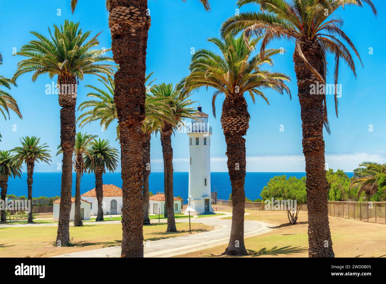 Palm trees around the Point Vicente Lighthouse in Ranchos Palos Verdes, California, USA Stock Photo