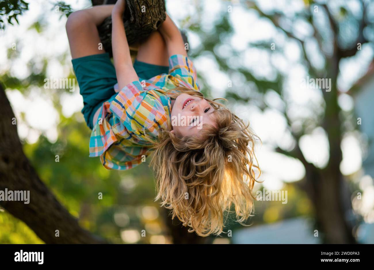 Cute child learning to climb, having fun in summer park. Kids climbing trees, hanging upside down on a tree in a park. Upside down. Childhood concept. Stock Photo