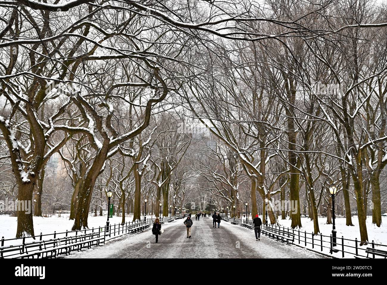 People walk in Central Park as snow blankets New York City breaking a