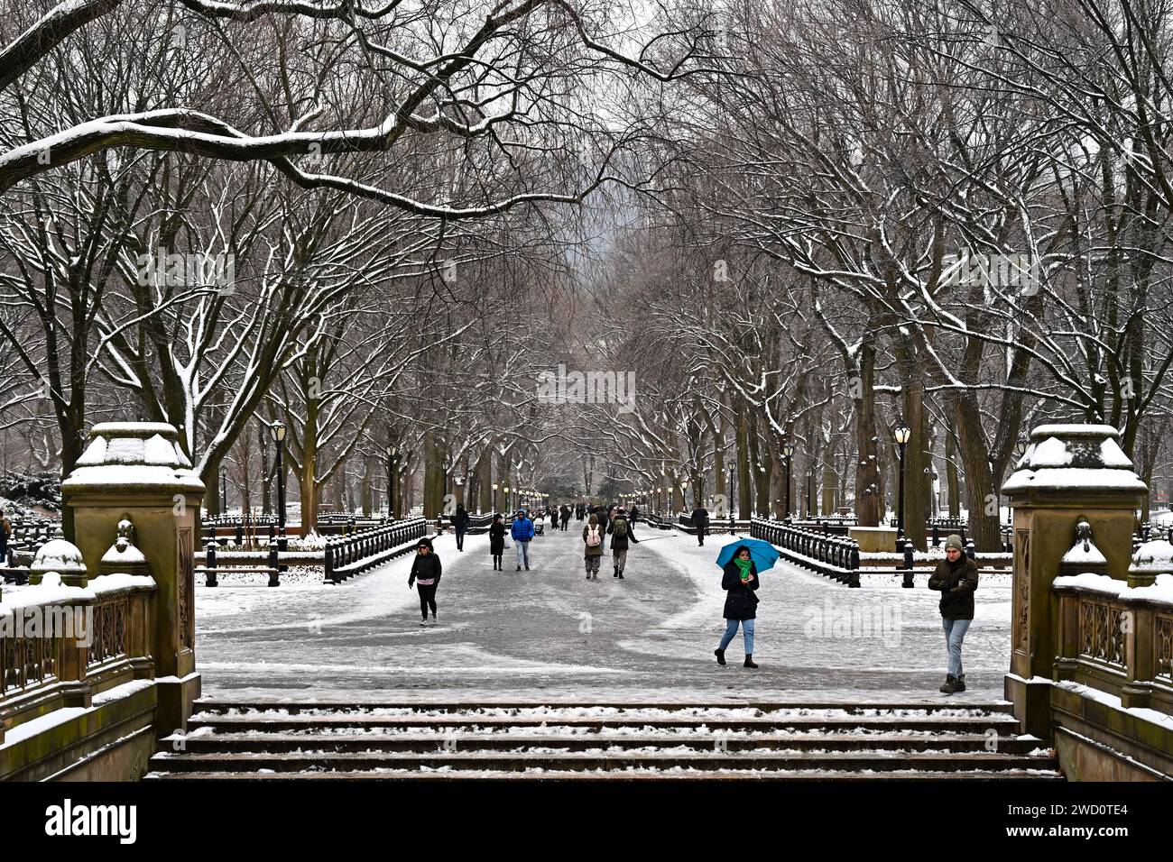 People walk in Central Park as snow blankets New York City breaking a