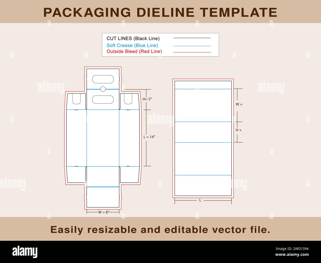 Shoe Lock Box, Dieline Template, Editable Vector File, Stock Vector