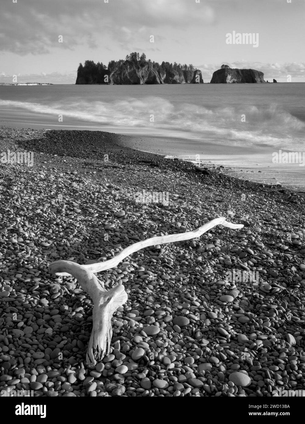 BW01046-00-WASHINGTON - Rialto Beach and James Island, Olympic National Park. Stock Photo