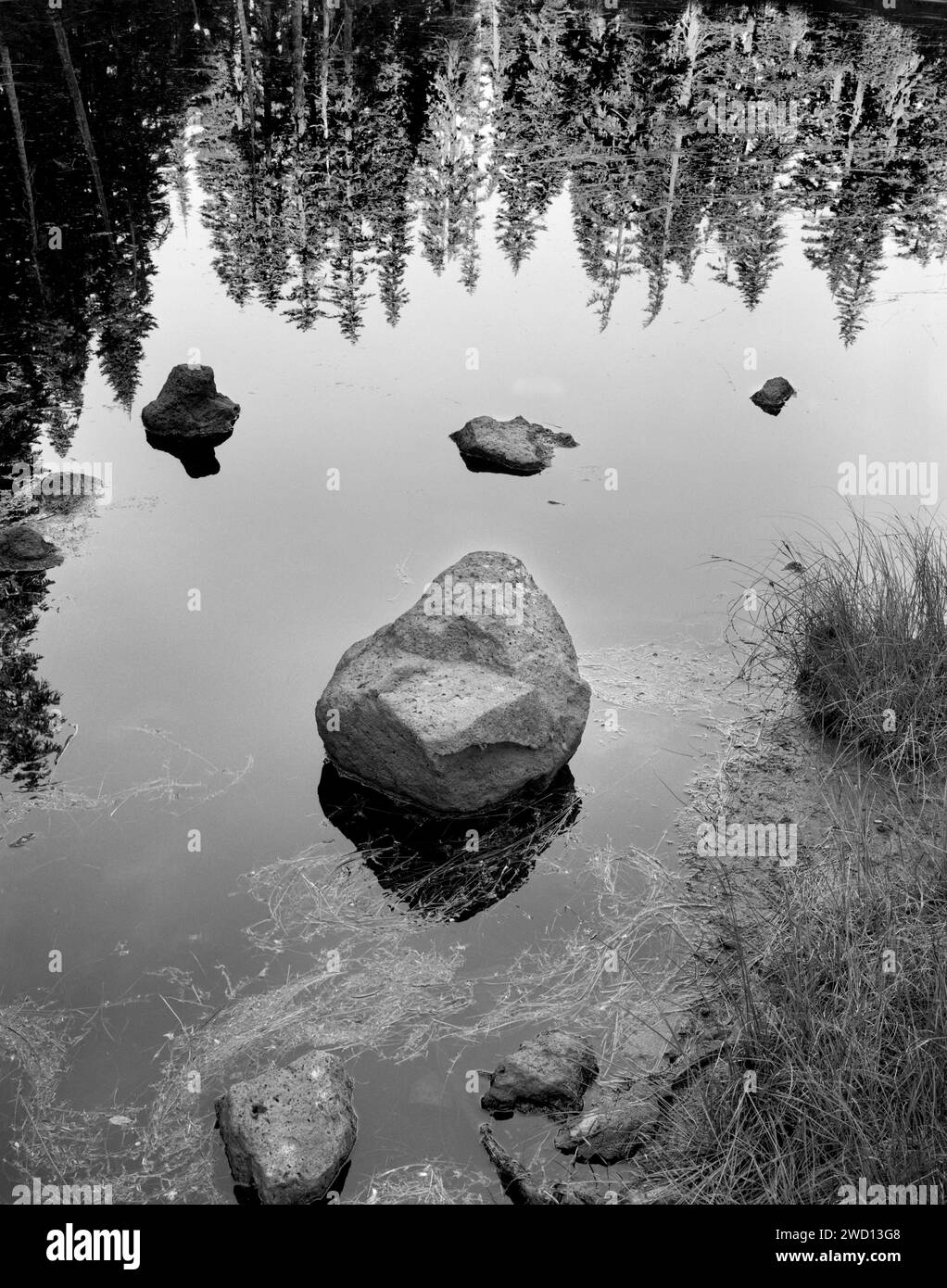 BW01130-00....WASHINGTON - Rocks and trees reflected on a small tarn in the Clearwater Wilderness, Mount Baker-Snoqualmie National Forest. Stock Photo