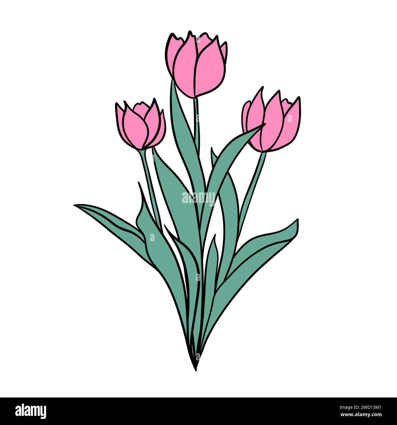 Tulip wild romance hi-res stock photography and images - Alamy