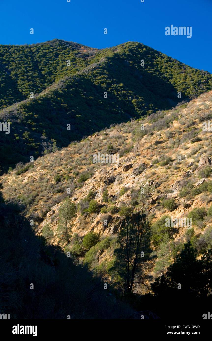 Mountain slopes from River Trail, Kern Wild and Scenic River, Sequoia ...