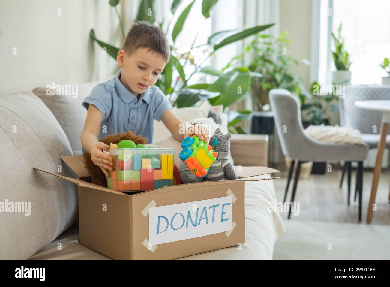 Cardboard box plant charity hi-res stock photography and images - Alamy
