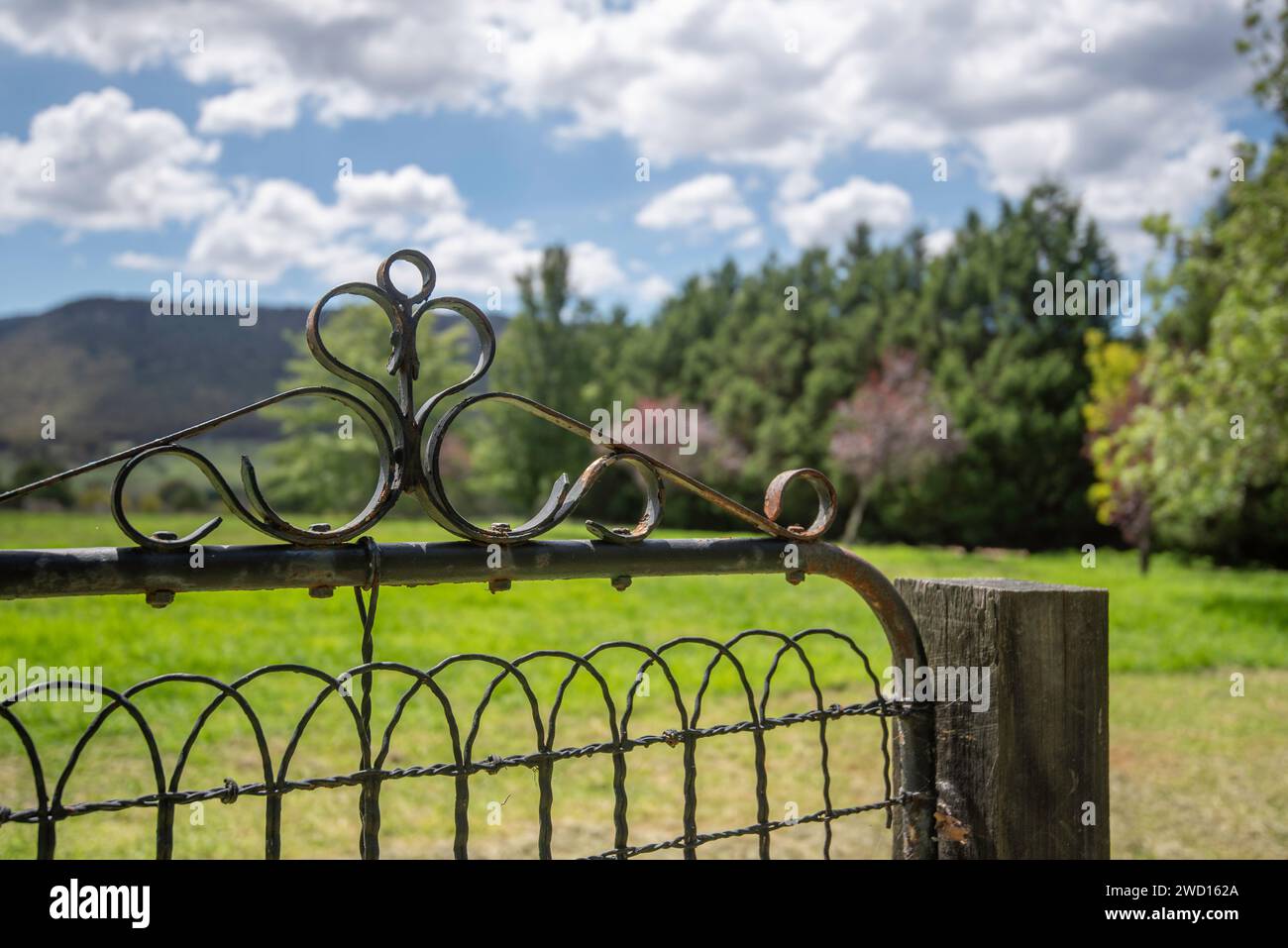 An old Edwardian style iron gate and timber fence post on a farm property in New South Wales, Australia Stock Photo