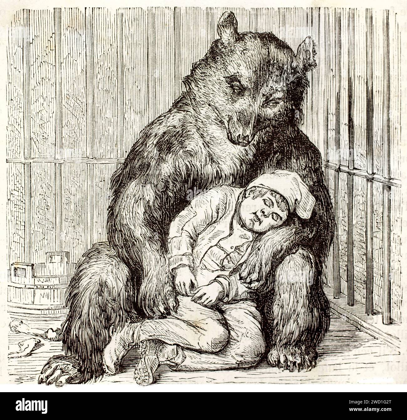 Old engraved illustration of Masco taking care of his young friend in Nancy. Created by Bocourt and Marchand, published on Brehm, Les Mammifers, Baill Stock Photo