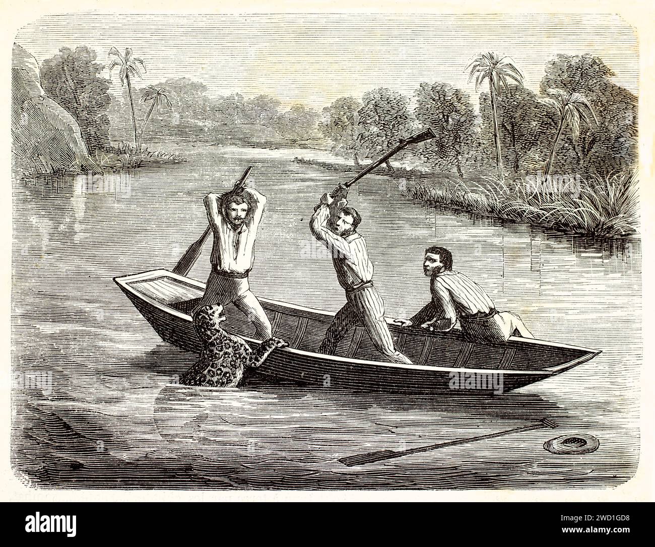 Old engraved illustration of Jaguar assaulting canoe and men defending themselves. Creted by Seguin and Burck, published on Brehm, Les Mammifers, Bail Stock Photo