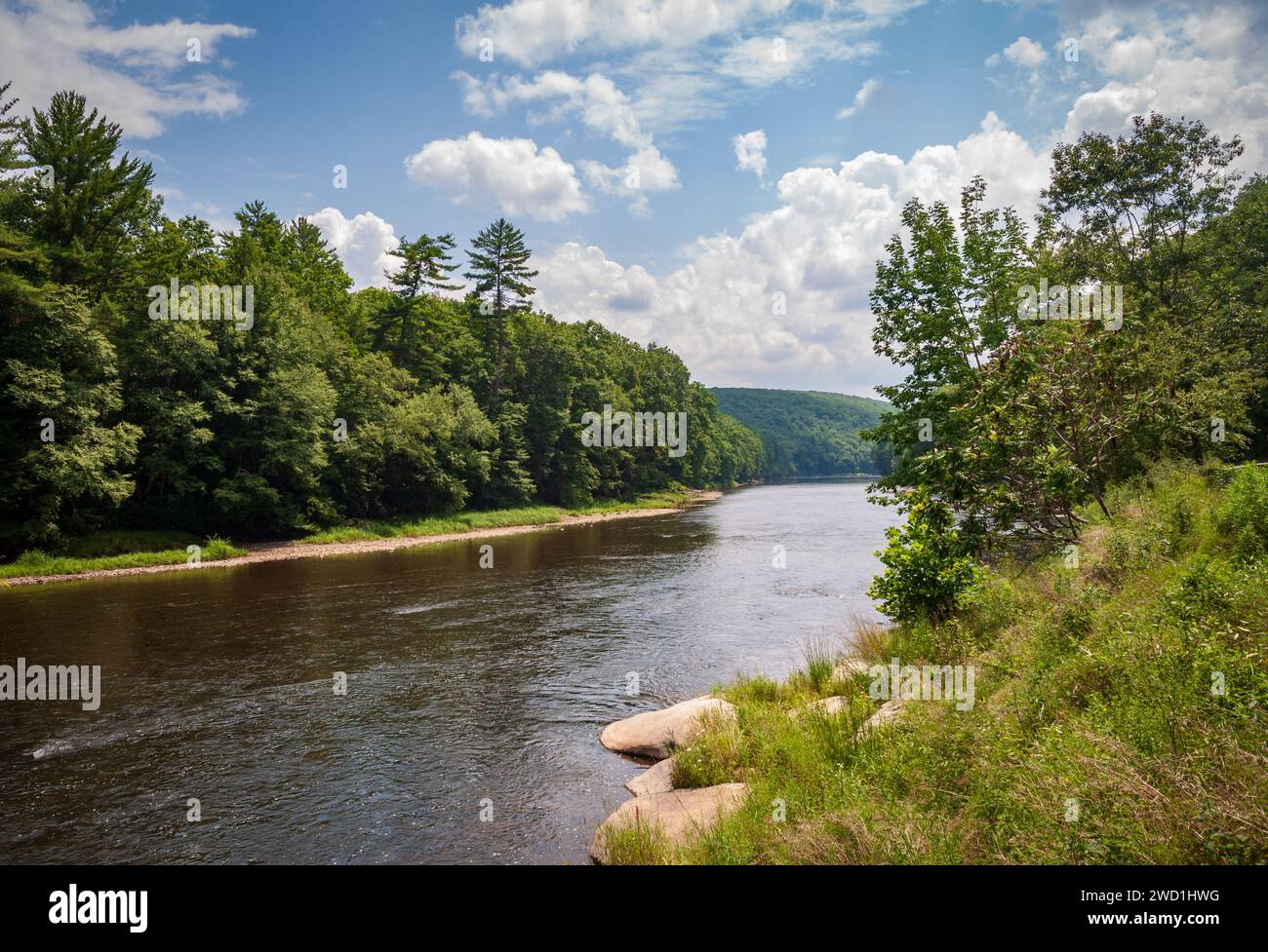 The River at Cook Forest State Park and Clarion River Lands in scenic