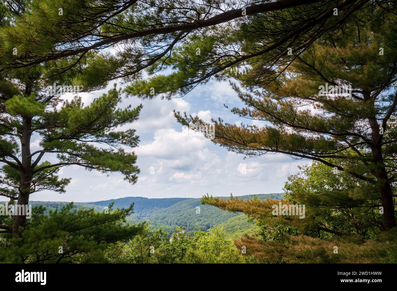 Cook Forest State Park and Clarion River Lands in scenic northwestern ...