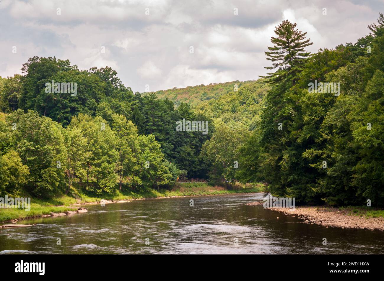 The River at Cook Forest State Park and Clarion River Lands in scenic