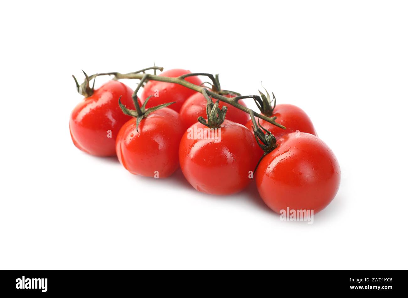 Branch of red roasted cherry tomatoes isolated on white Stock Photo - Alamy