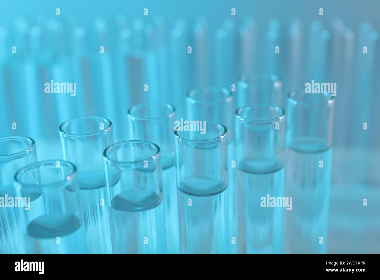 Laboratory analysis. Many glass test tubes on light blue background ...