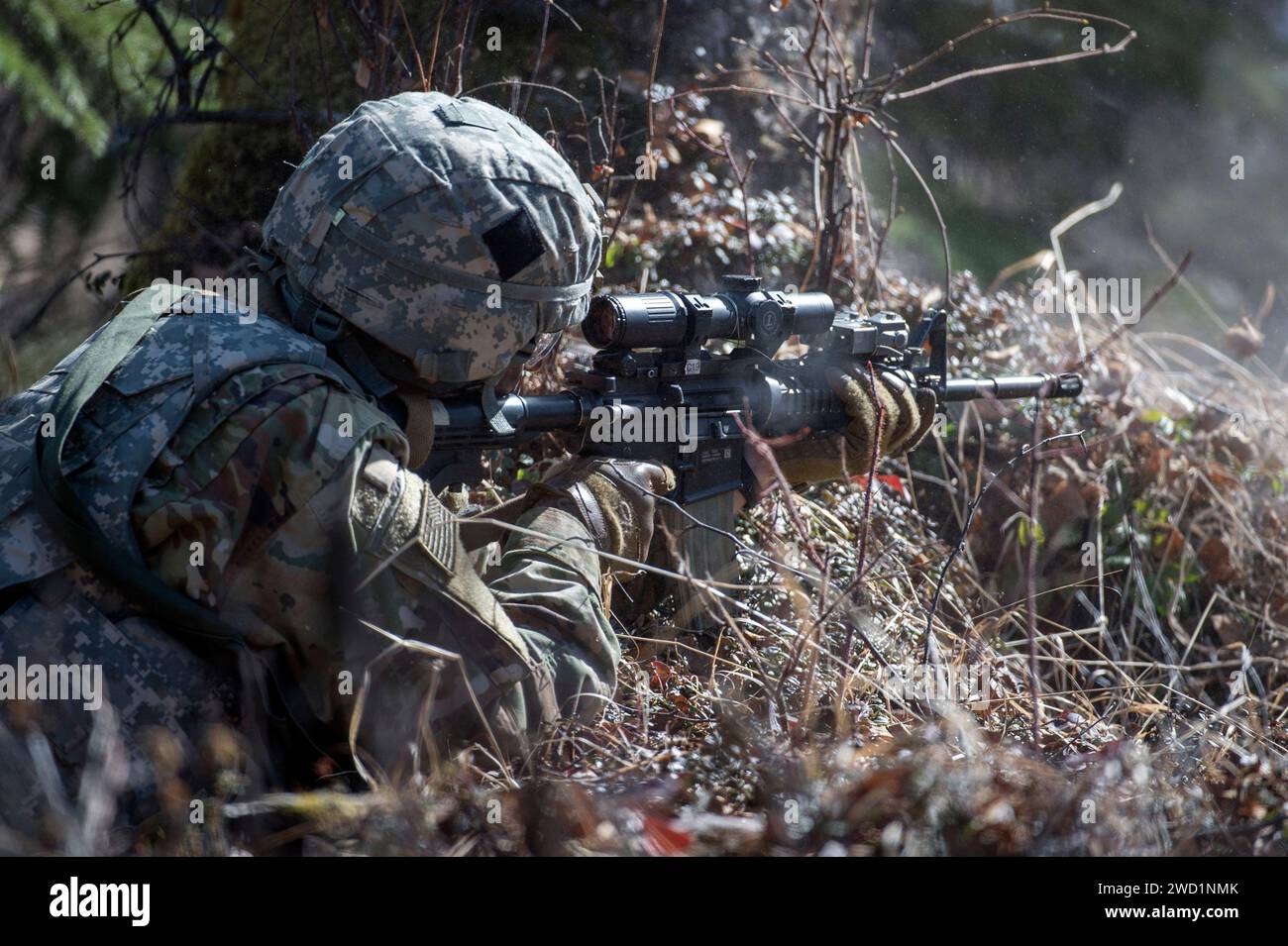 A U.S. Army Alaska paratrooper engages simulated enemy targets during live-fire training. Stock Photo