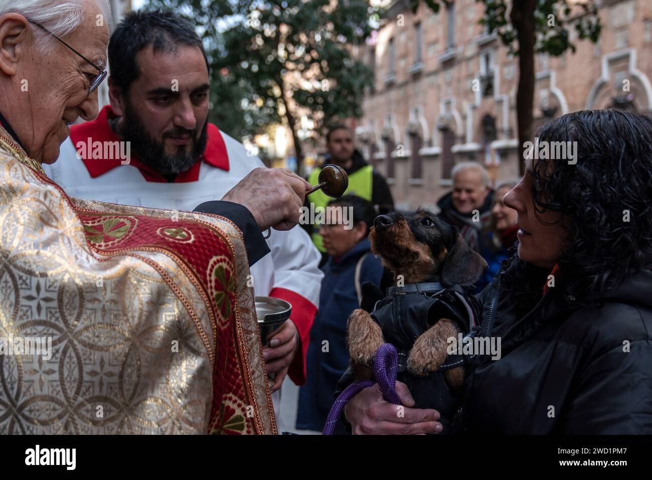 Madrid, Spain. 17th Jan, 2024. A dog carried by its owner seen being ...