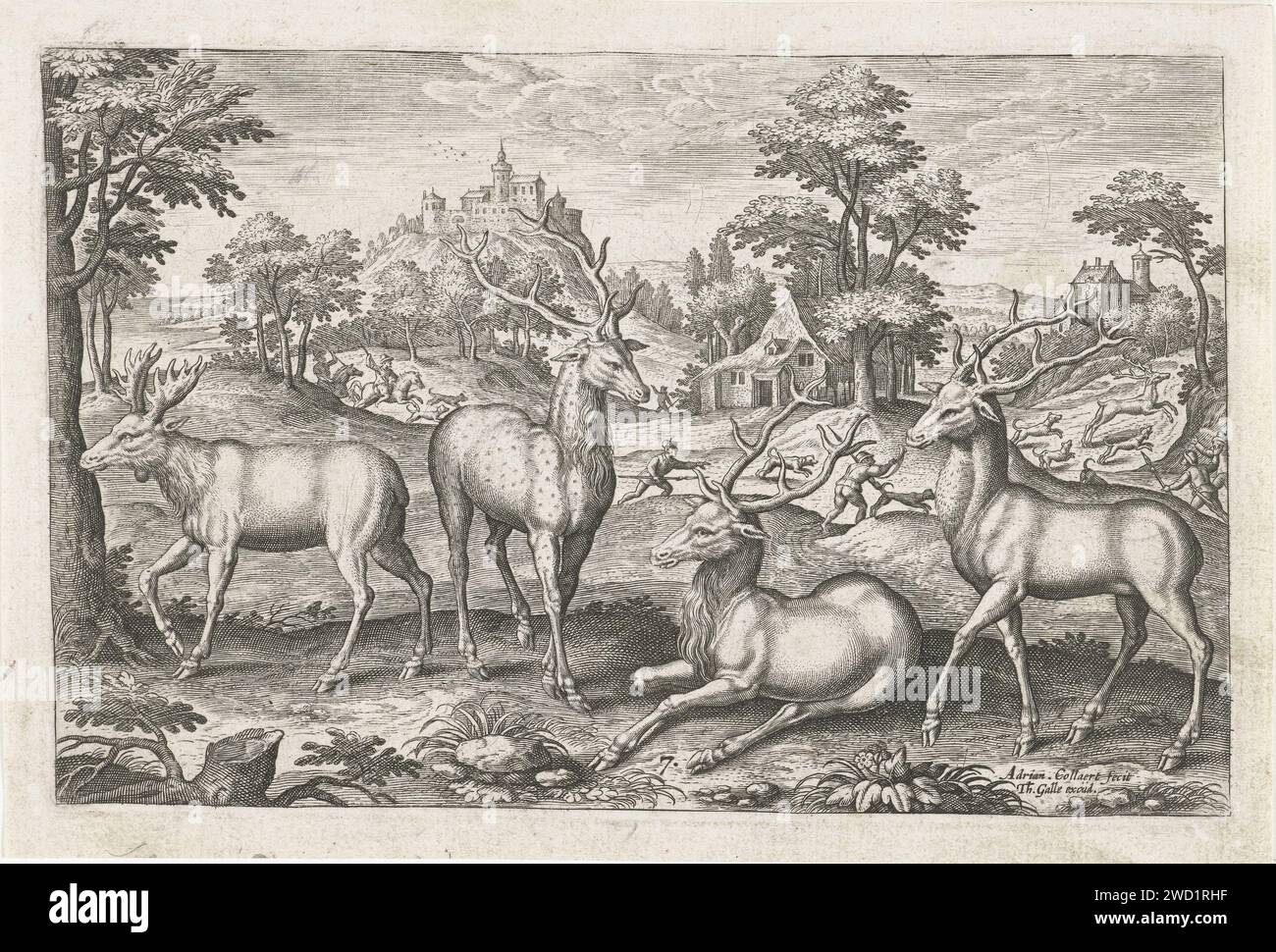 Herten, Adriaen Collaert, 1595 - 1633 print Two deer, a Damhert and a moose in the foreground. A deer show in the background. The print is part of a series with animals as the subject. Antwerp paper engraving hoofed animals: deer. hoofed animals: moose. stag-hunting Stock Photo