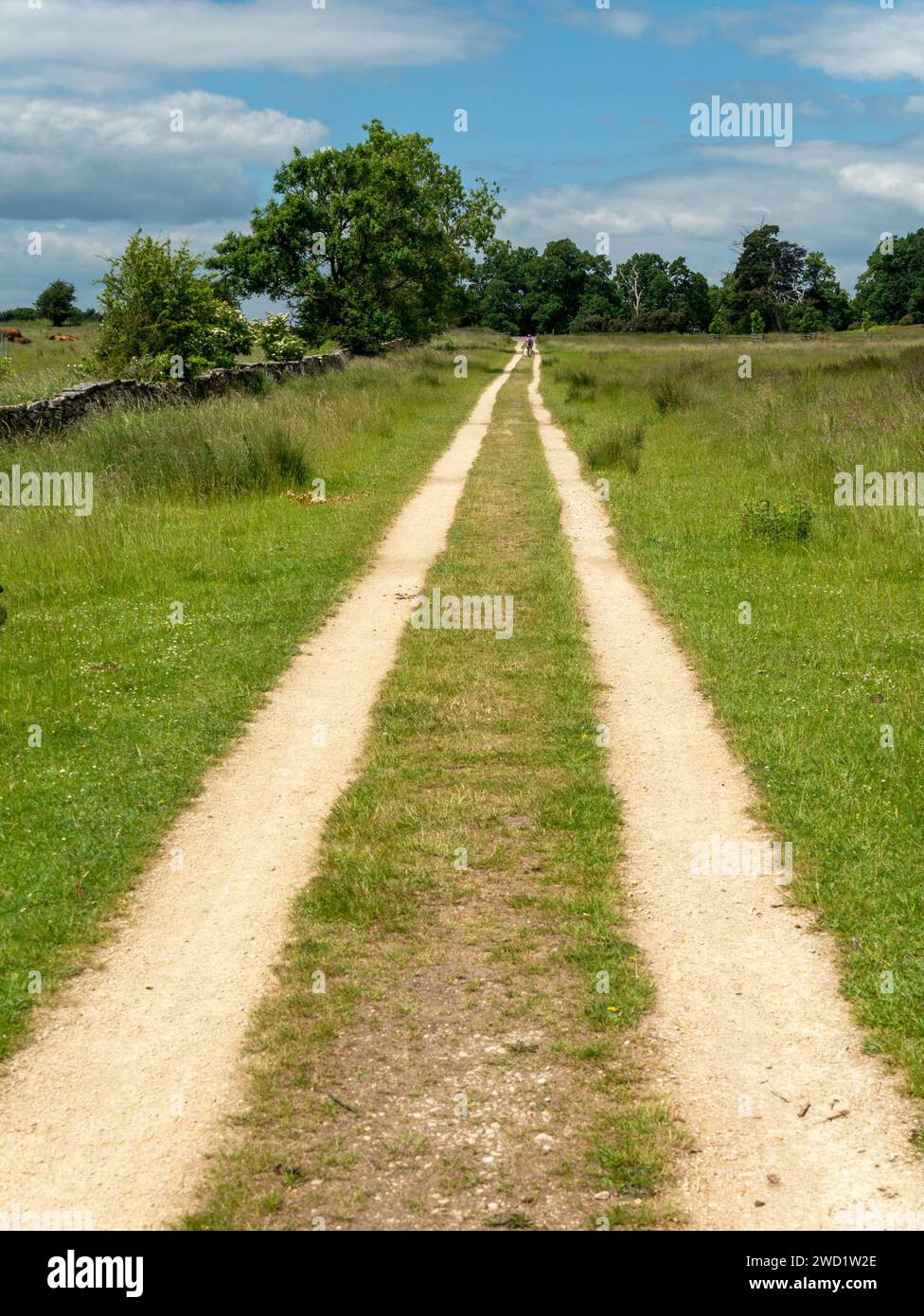 Straight, parallel twin dirt / vehicle track road across fields converging into the distance, Derbyshire, England, UK Stock Photo