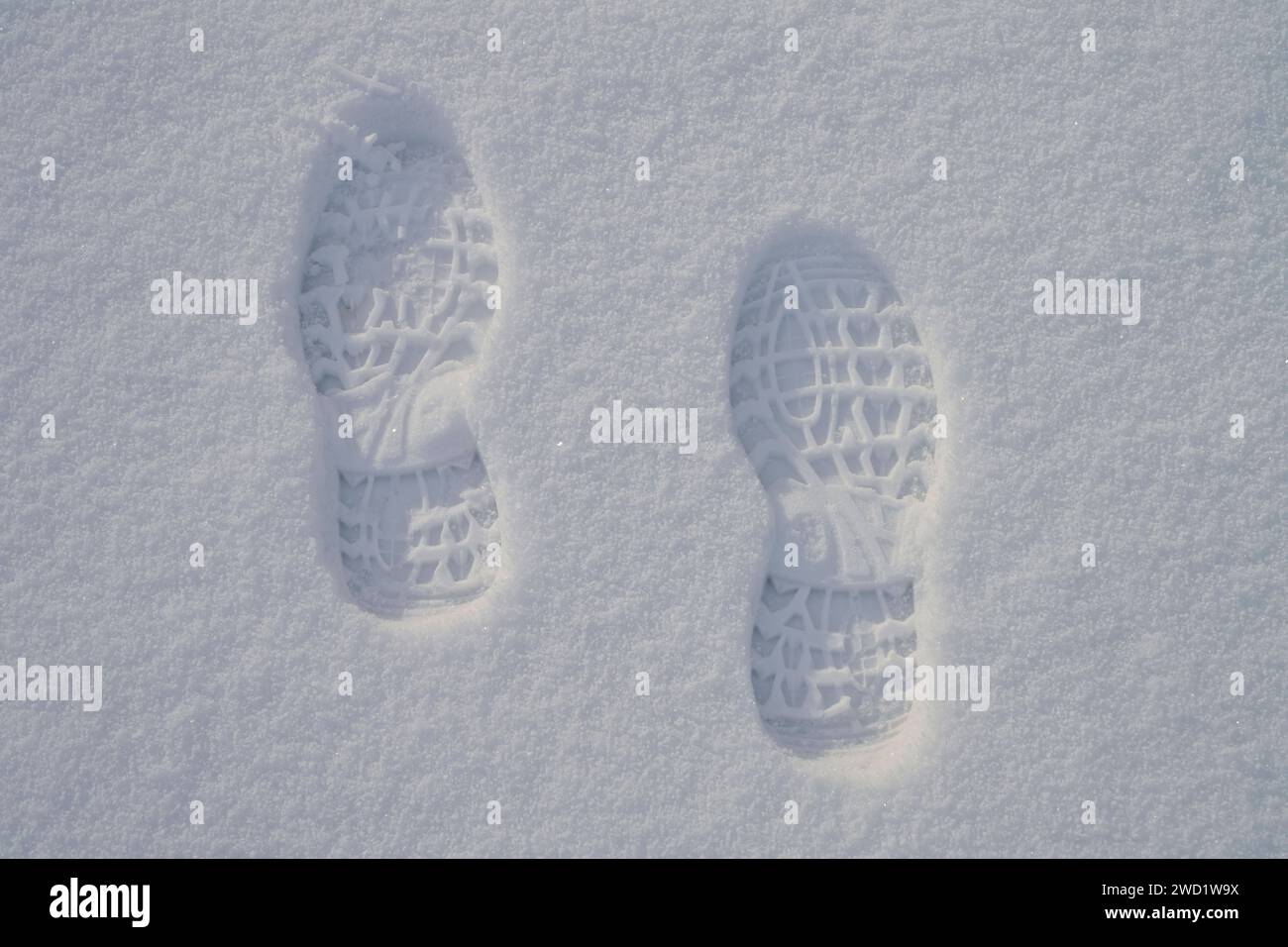 Fuabdruck Ratte Im Schnee