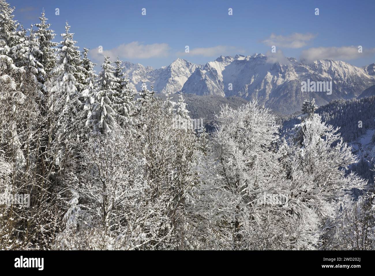 Eckbauer mountain near Garmisch-Partenkirchen. Germany Stock Photo