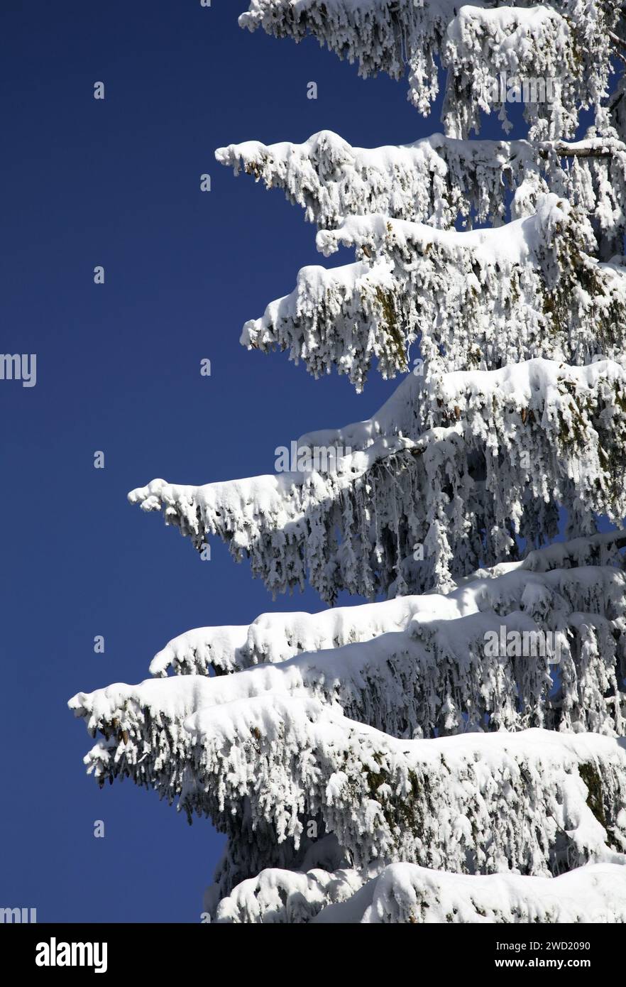 Eckbauer mountain near Garmisch-Partenkirchen. Germany Stock Photo