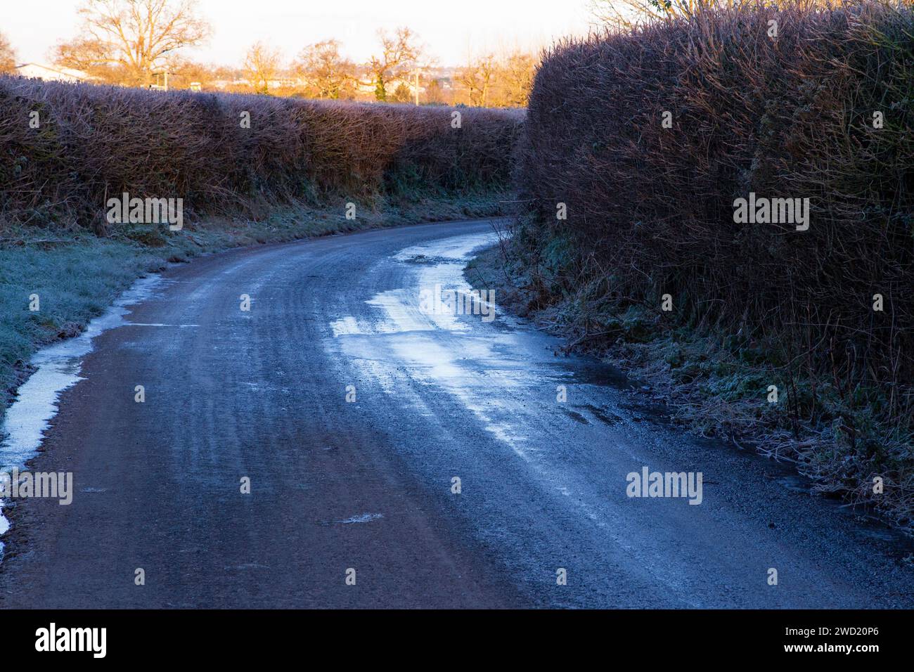 frost and ice found on the road and road side in the rural village of Clyst St George in East Devon during early morning rush hour Stock Photo