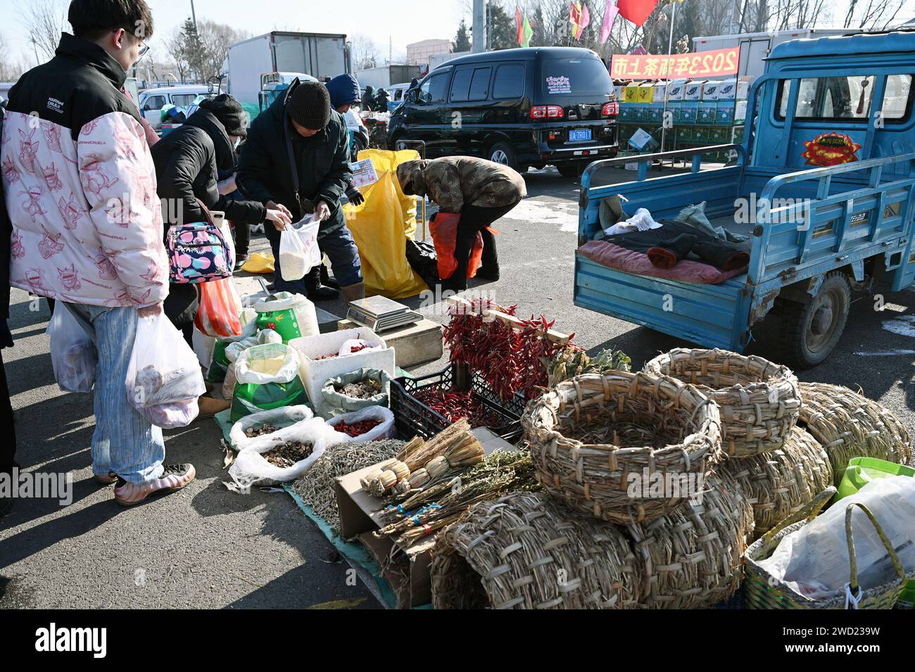 taxis shenyang chinese new year