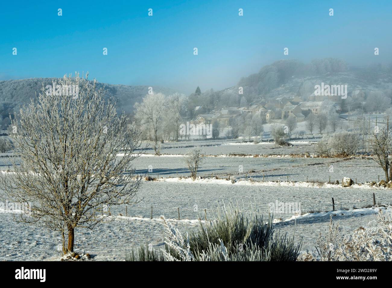 Aubrac plateau in winter. Lozere. Occitanie. France Stock Photo