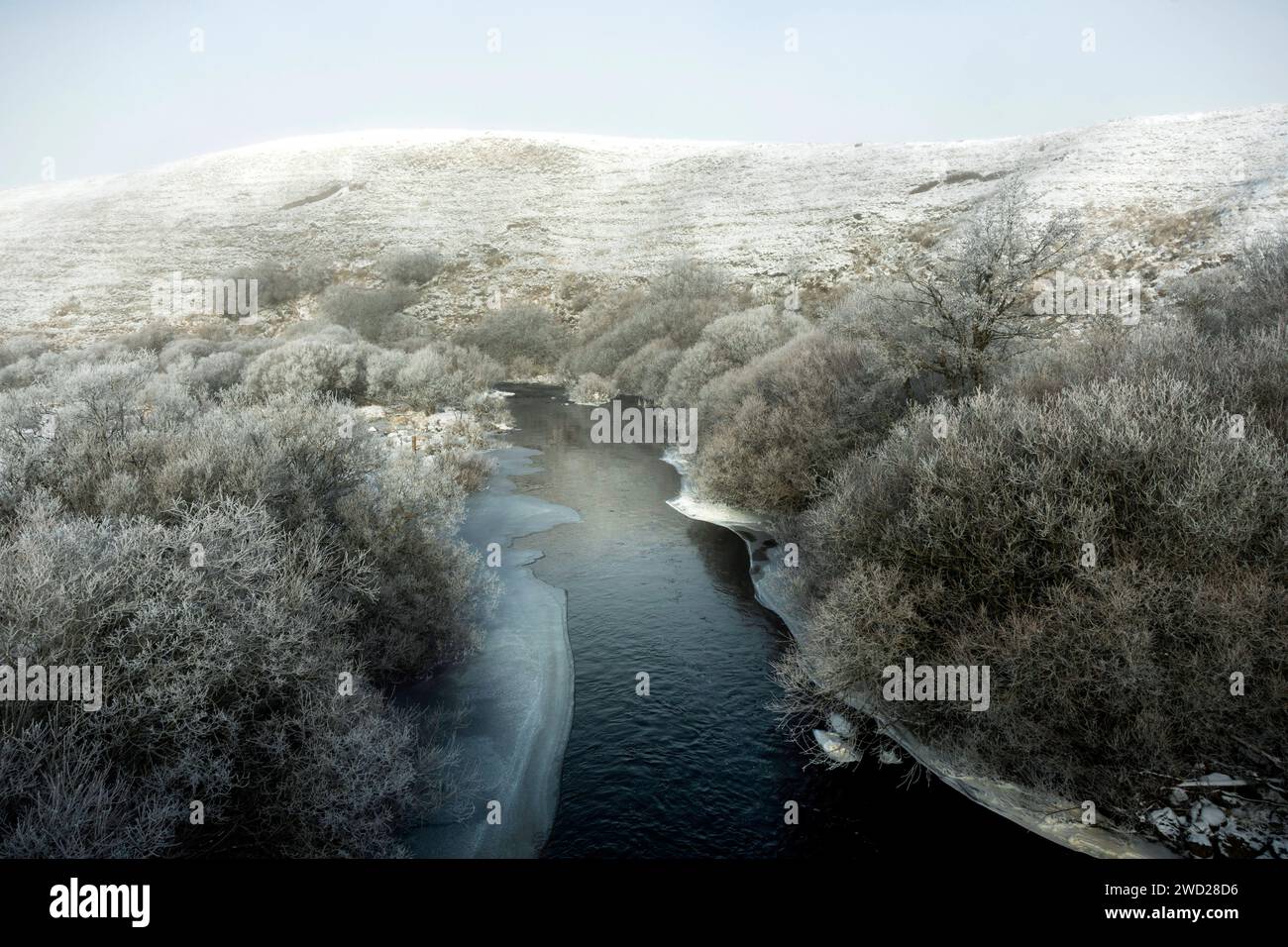 Aubrac plateau. Frozen river Bès. Lozere. Occitanie. France Stock Photo