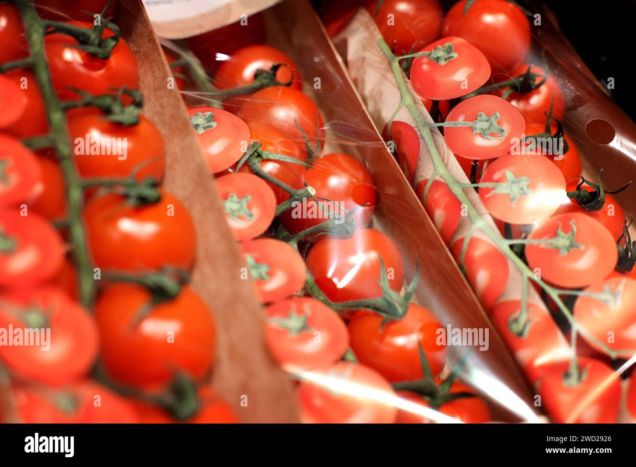 17.01.2024, Berlin - Deutschland. Verpackte Tomaten in einem Regal im Supermarkt. *** 17 01 2024, Berlin Germany Packaged tomatoes on a supermarket shelf Stock Photo
